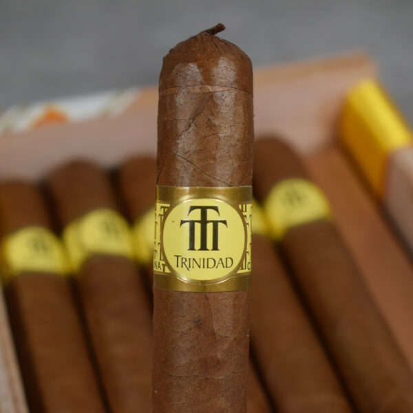 TRINIDAD REYES - Image 8