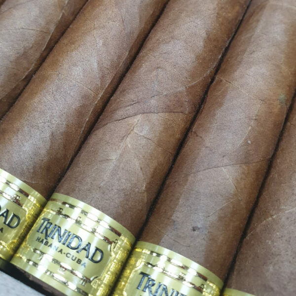 Trinidad Robusto Extra From Travel Humidor - Image 6